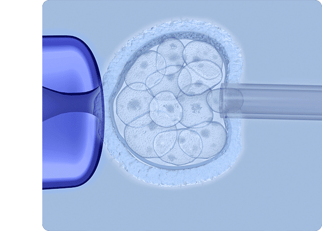 Preimplantation Genetic Testing Pgt Perfect Fertility Center